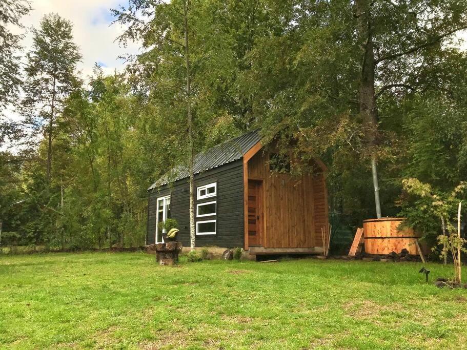 Tinyhouse * Lican Ray