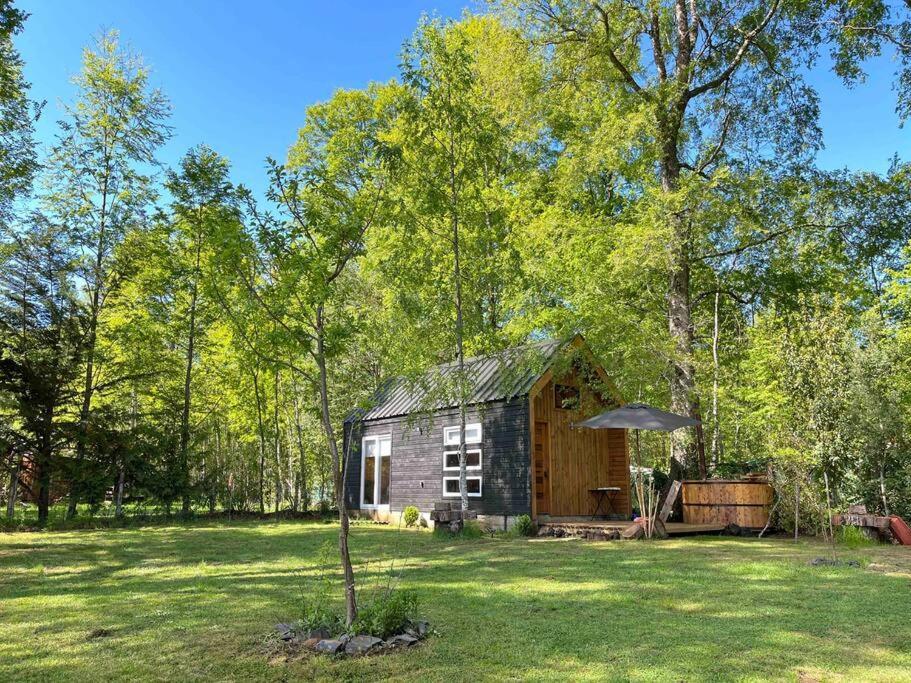 Tinyhouse * Lican Ray