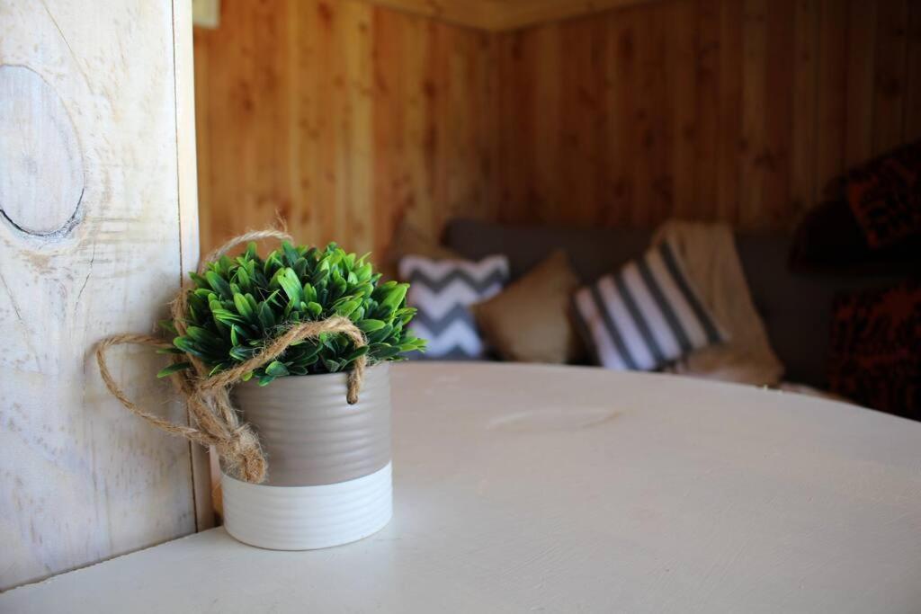 Tinyhouse * Lican Ray